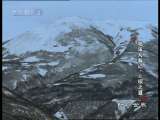 动物世界 动物世界 2010年 第144期