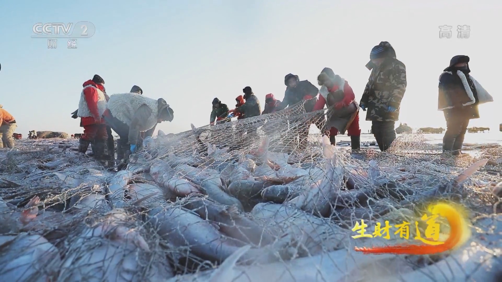 生财有道 《生财有道》 20220217 冰雪经济系列——查干湖上看冬捕 冰湖腾鱼收获忙