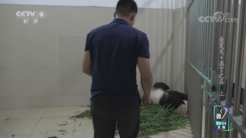 《看夏天》 添丁之喜（上）