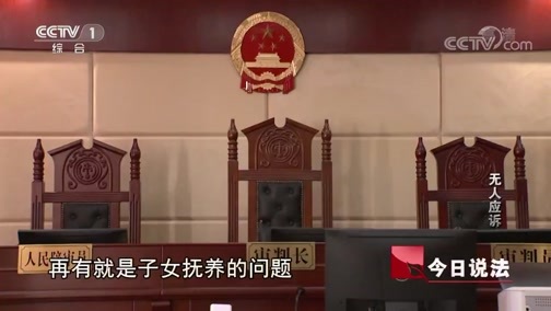 今日说法 《今日说法》 20190416 无人应诉