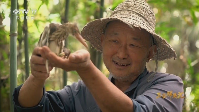 《三农群英汇》 20260328 一纸承诺护白鹭