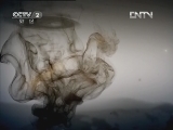 生财有道 [生财有道]痴迷不悔雪獒梦（2012.8.16）