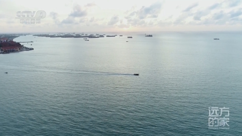 远方的家 《远方的家》 20250703 海与城的交响 北海的多彩生活