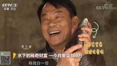 致富经 [致富经]水下的稀奇财富 一个月要卖300万 20190125