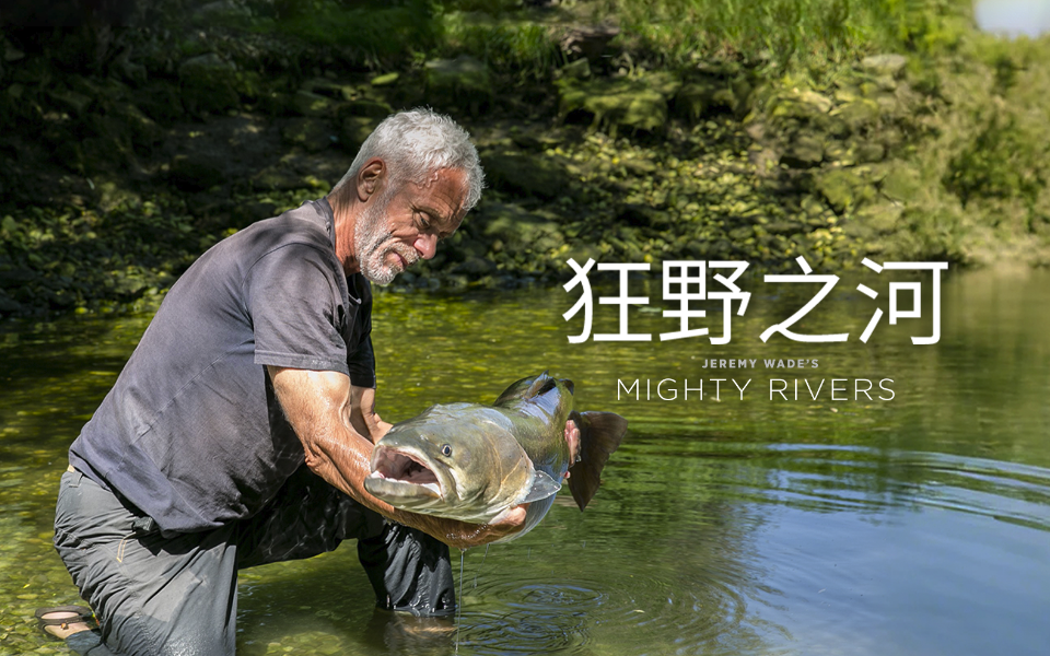 多瑙河