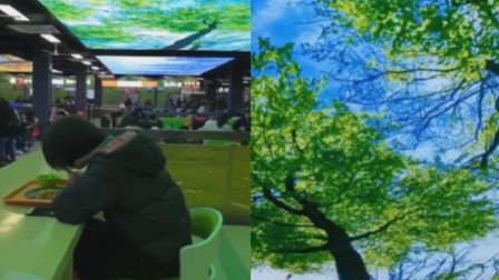 吃个饭都像旅游！大学餐厅变治愈系公园 学生纷纷打卡