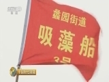 中国财经报道 《中国财经报道》 20150606 生态文明建设前沿报告 水污染治理进行时 天上的水——人间的湖 太湖篇