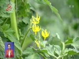 全省新闻联播 《全省新闻联播》 20170627