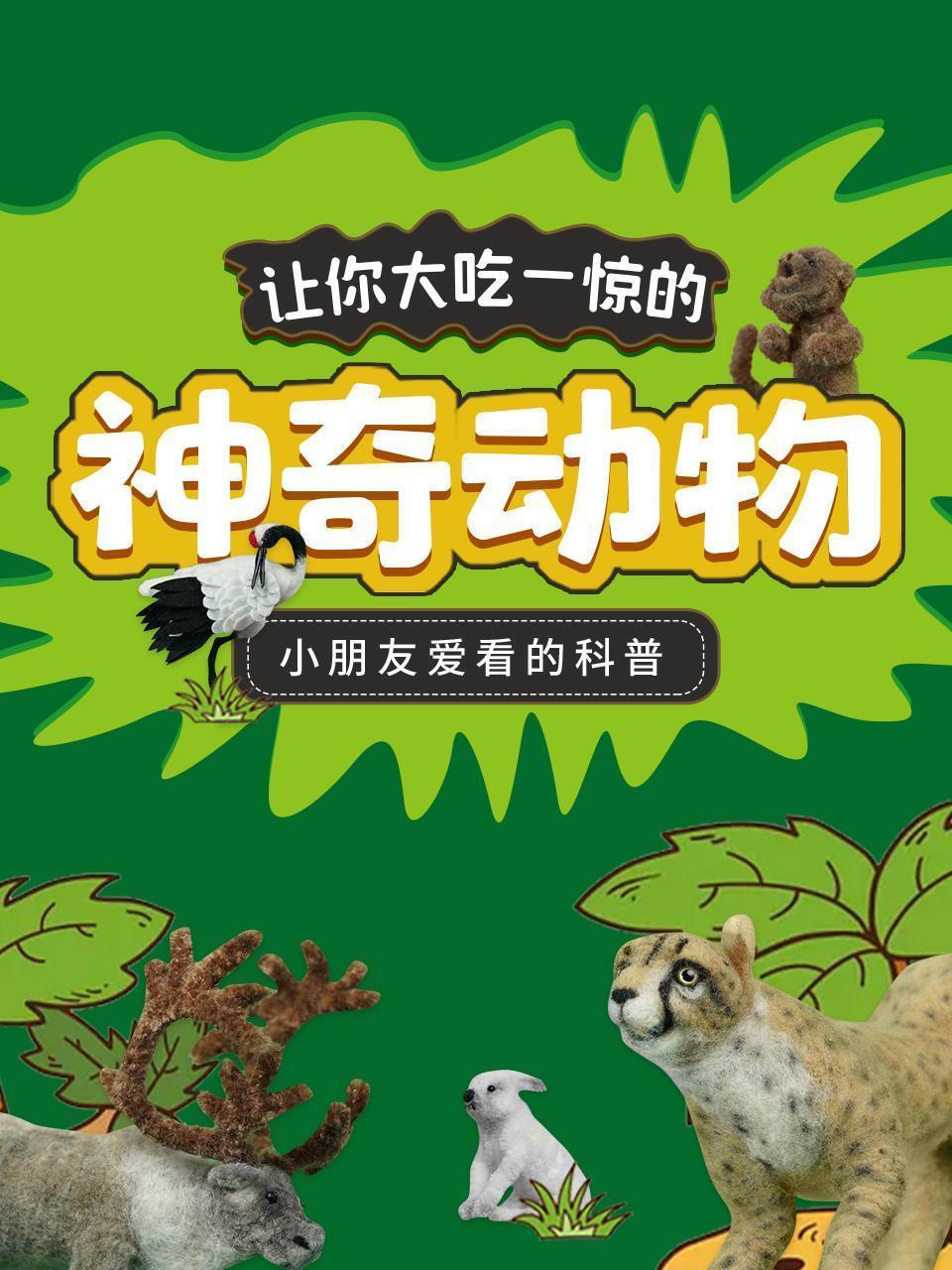 让你大吃一惊的神奇动物-小朋友爱看的科普