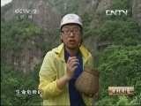 生财有道 《生财有道》 20130830 征服命运的种草人