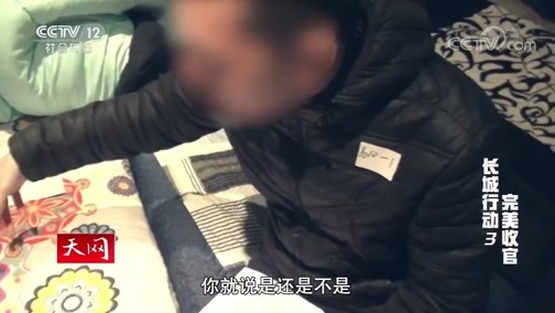 天网 《天网》 20200327 长城行动 第三集 完美收官