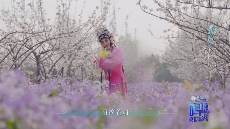 《一鸣惊人》 20251211 我们来相会 特别节目（三）