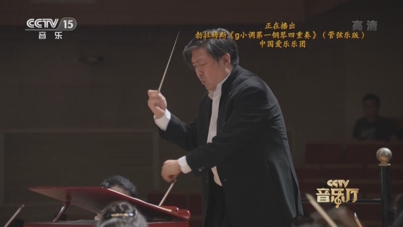 CCTV音乐厅 《CCTV音乐厅》 20220628 “名家名曲”系列音乐会（85） 经典之声——勃拉姆斯专场音乐会（下）