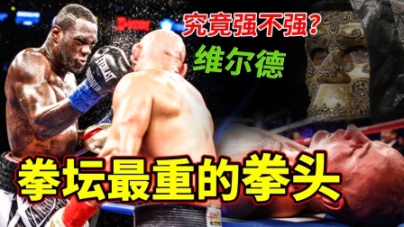 拳击擂台最重的拳头，一拳让对手昏迷，维尔德的实力强不强？