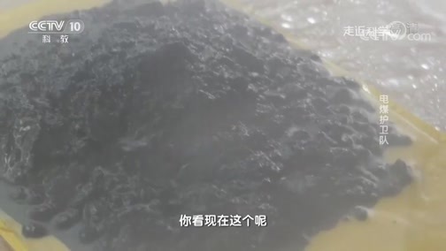 走近科学 《走近科学》 20181123 电煤护卫队