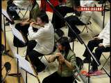 风华国乐 风华国乐·音乐会集锦