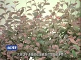 小区大事 《小区大事》 20171113 民警李兔儿