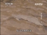 地理中国 《地理中国》 20131106 史前精灵 （下）