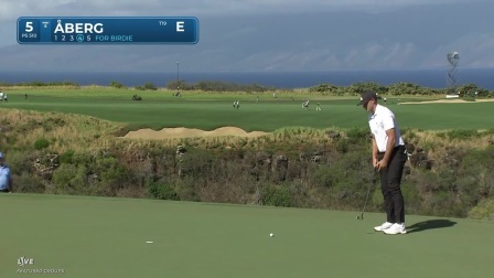 【球员集锦】阿伯格推杆稳健，最后一洞拿下收官鸟