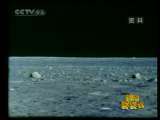 新闻袋袋裤 新闻袋袋裤 2010年 第164期