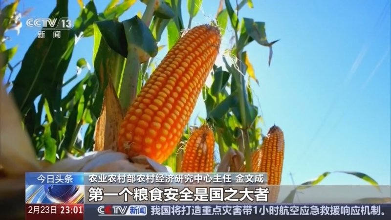 24小时 《24小时》 20250223