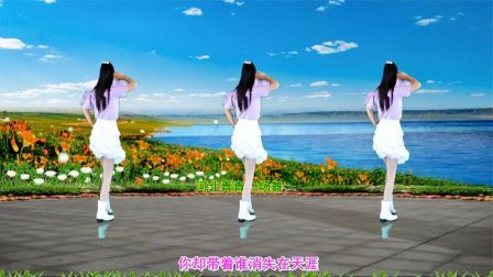 流行DJ广场舞及教学 第三季 伤感DJ水兵舞《伤心的雪花》优美32步演示分解