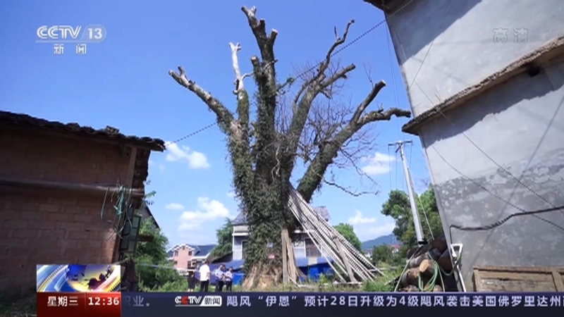 法治在线 《法治在线》 20220928