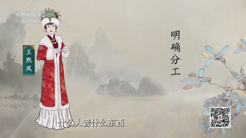 法律讲堂 《法律讲堂(文史版)》 20250522 《红楼梦》中的法文化·王熙凤的管家经（下）