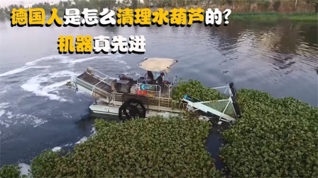 机械控 德国人是怎么清理水葫芦的？全自动机械化，水葫芦能被连根拔起吗