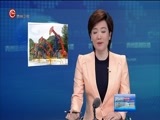 贵州新闻联播 《贵州新闻联播》 20170624