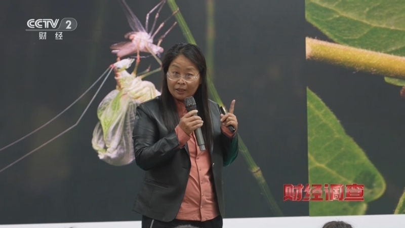 《财经调查》 20251116 被滥养的“杀人蜂”