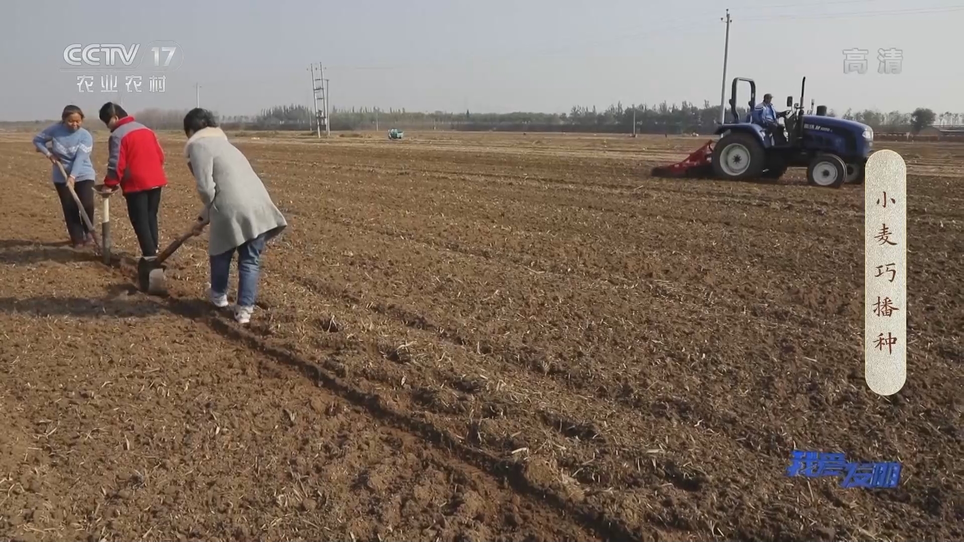 《我爱发明》 20211216 小麦巧播种