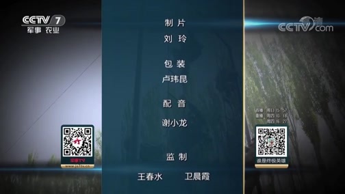 谁是终极英雄 《谁是终极英雄》 20190428 天山坚盾（上） 武警新疆总队巴音郭楞支队