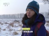 地理中国 《地理中国》 20160420 世界地球日特别节目·追踪海雕8号（下）