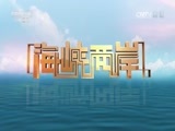 海峡两岸 《海峡两岸》 20160502