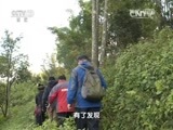 地理中国 《地理中国》 20160531 深谷探秘（下）