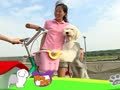 狗狗日记 第236天 跟着铁马走