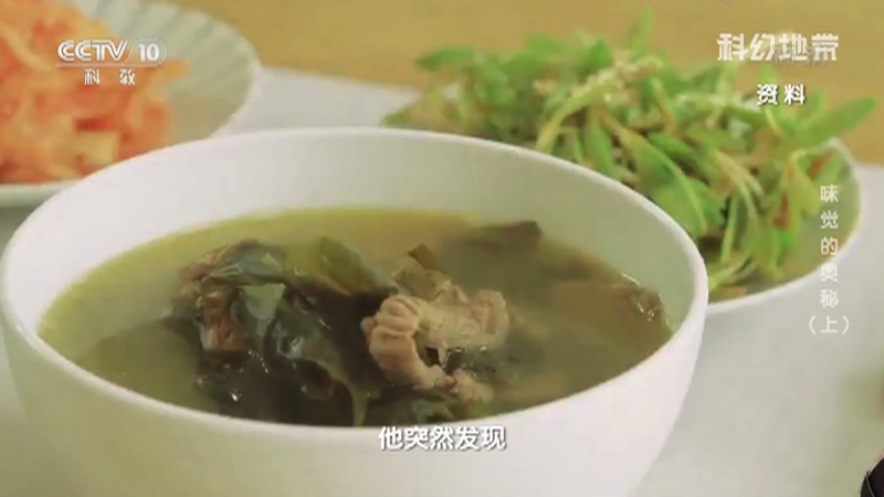 《科幻地带》 20210919 味觉的奥秘（上）