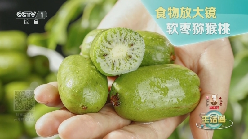 生活圈 《生活圈》 20241024