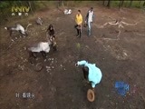 蔚蓝的故乡 《蔚蓝的故乡》 20180112 呼伦贝尔趣旅行