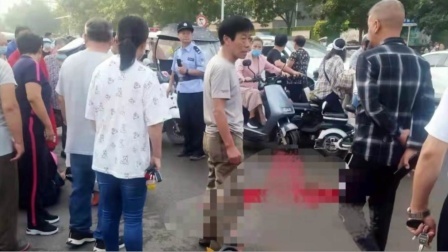 河南小学门口发生惨祸 至少4人受伤