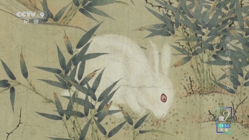 《萌兔的奇妙旅程》 第6集