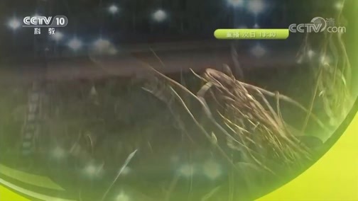 我爱发明 《我爱发明》 20190109 田间欢乐颂 5