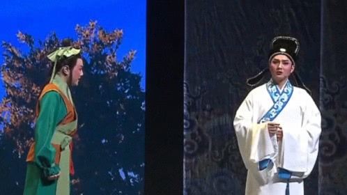 相约花戏楼 黄梅戏《龙女》(三)