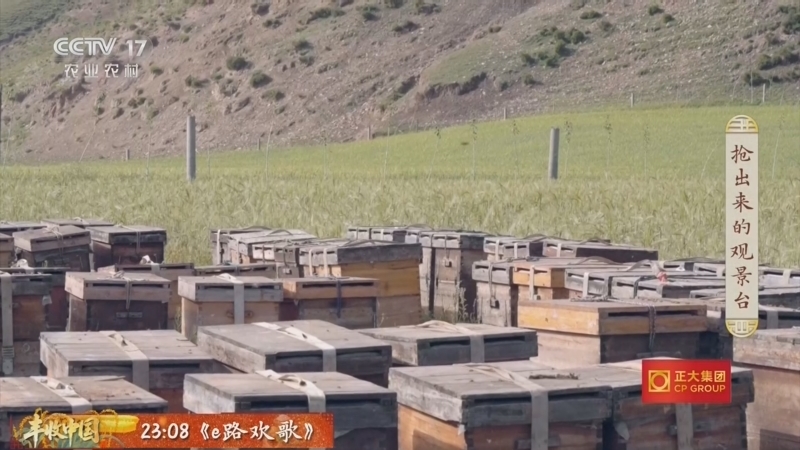 三农群英汇 《三农群英汇》 20260822 抢出来的观景台