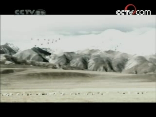 民歌&middot;中国 民歌·中国 2008年 第129期