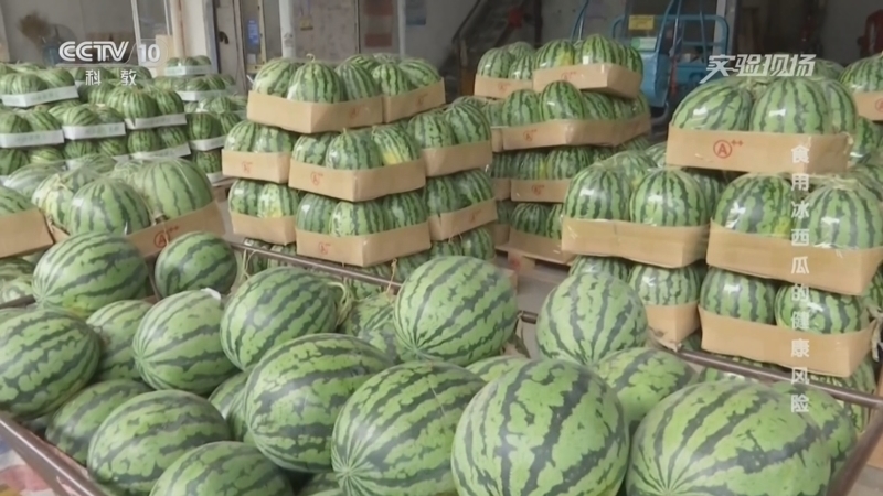 实验现场 《实验现场》 20260703 食用冰西瓜的健康风险