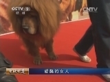 生财有道 《生财有道》 20131119 爱獒的女人