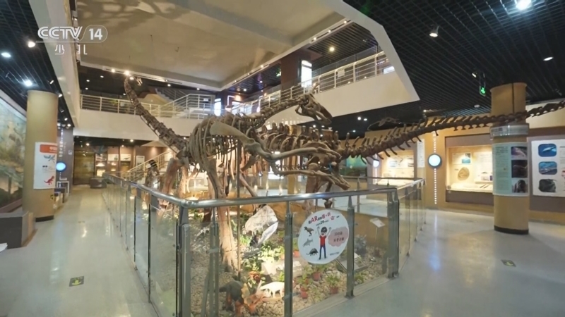 动感特区 《动感特区》 20250206 大器我成