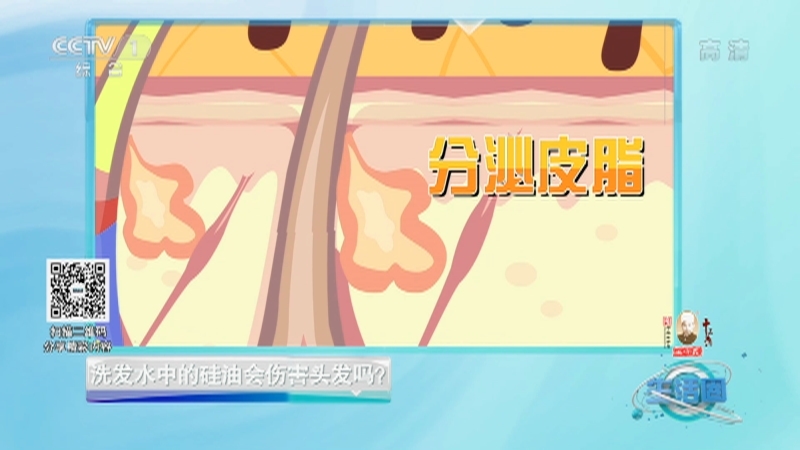 生活圈 《生活圈》 20201216